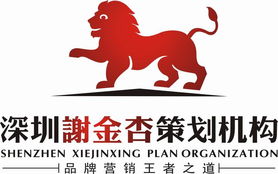 深圳谢金杏市场营销策划 精准定位与创新驱动的品牌赋能之道